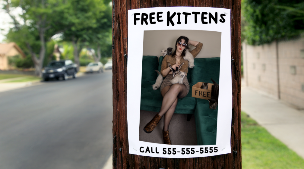 Citizen Chen and FREE KITTENS make comedy personal at Upintheair
